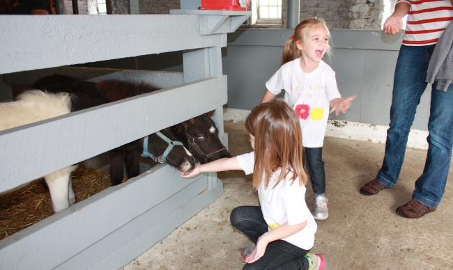 Kids petting ponies