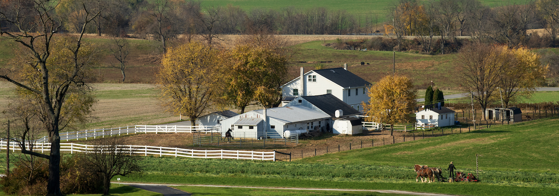 Gap, USA - November 11, 2023. Amish farm in Autumn, Lancaster County, Pennsylvania, USA